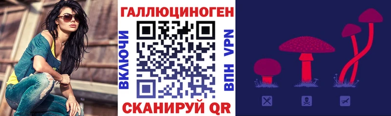 сколько стоит  Донской  Галлюциногенные грибы Cubensis 