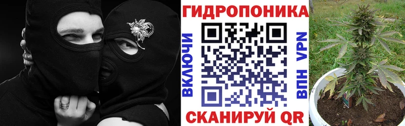 наркотики  hydra маркетплейс  Канабис ГИДРОПОН  Донской 